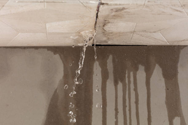 Professional Water Damage Inspection technician working in Princeton, FL